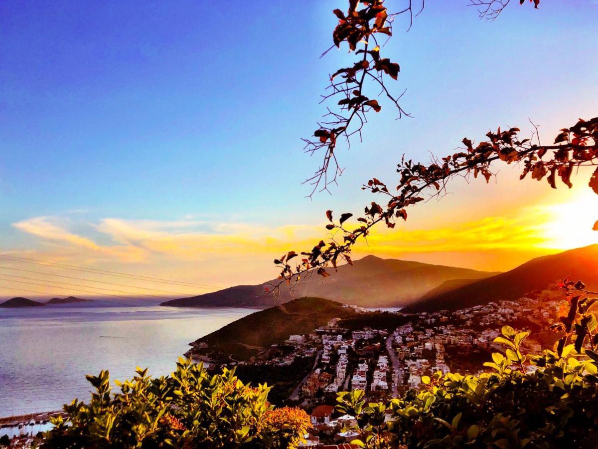 Villa Valo Kalkan Exteriör bild