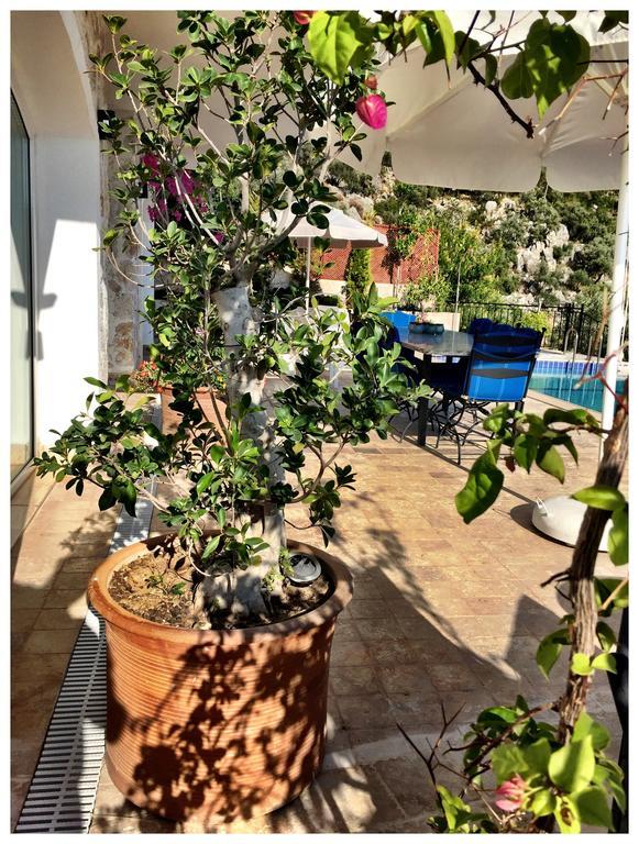 Villa Valo Kalkan Rum bild