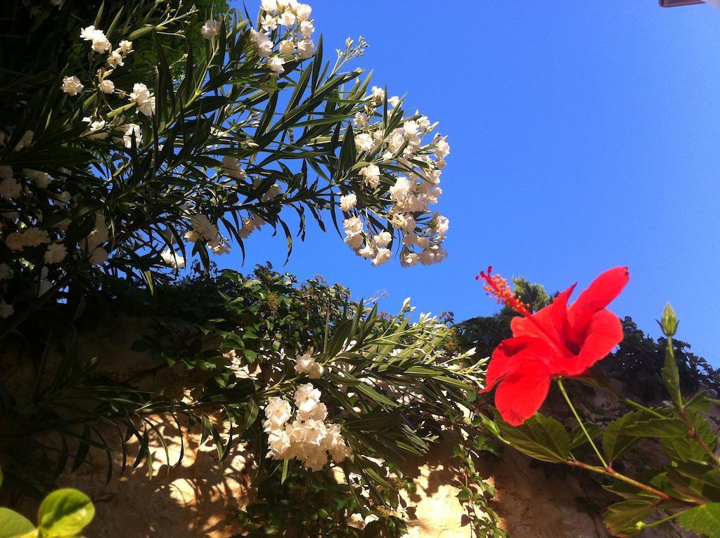 Villa Valo Kalkan Rum bild